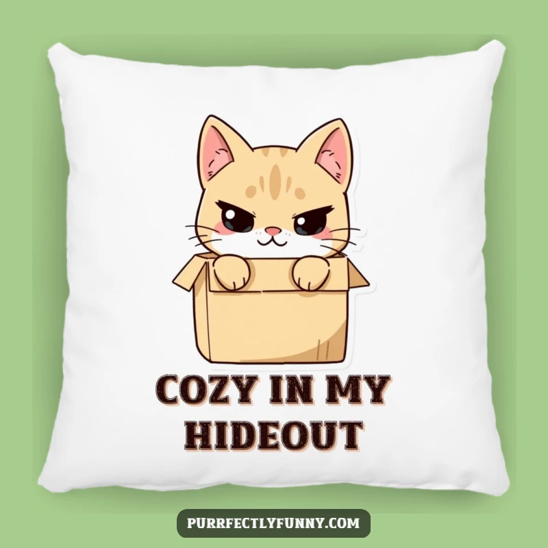 Funny Cat in Box Pillow: Cuddle Up with Mischievous Comfort