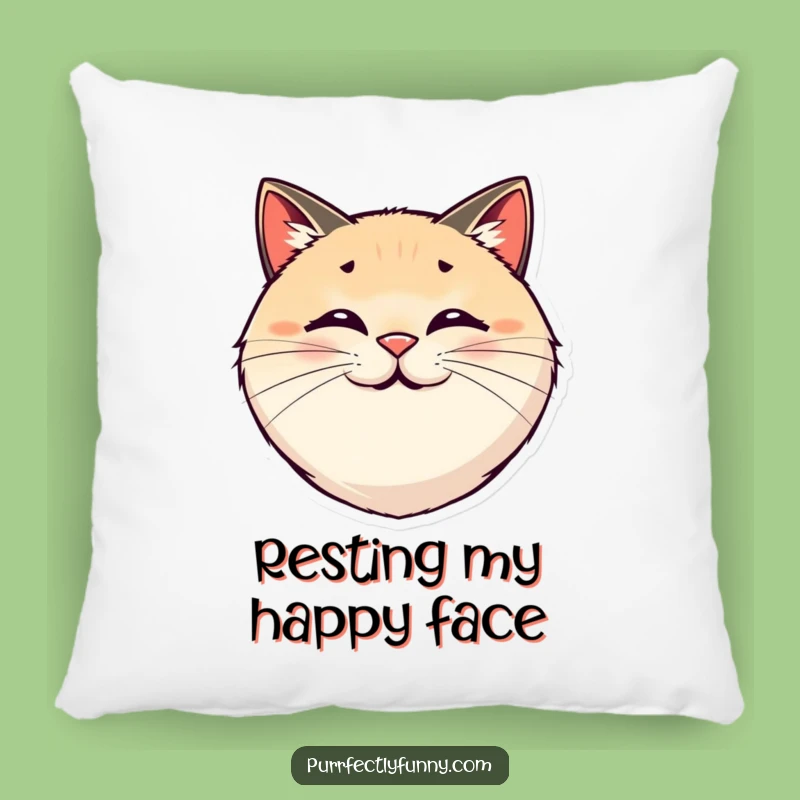Funny Smiling Cat Face Pillow - Cozy Bouncy Whiskers Comfort
