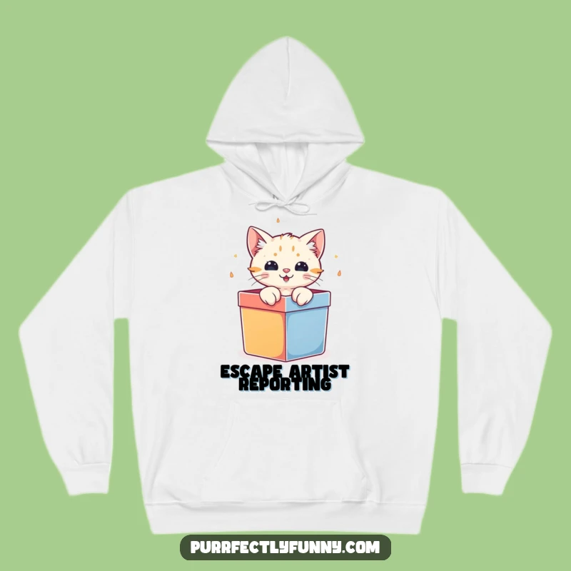 Funny Cat Gift Box Hoodie: Cozy Surprise, Perfect Warm & Hilarious Gift