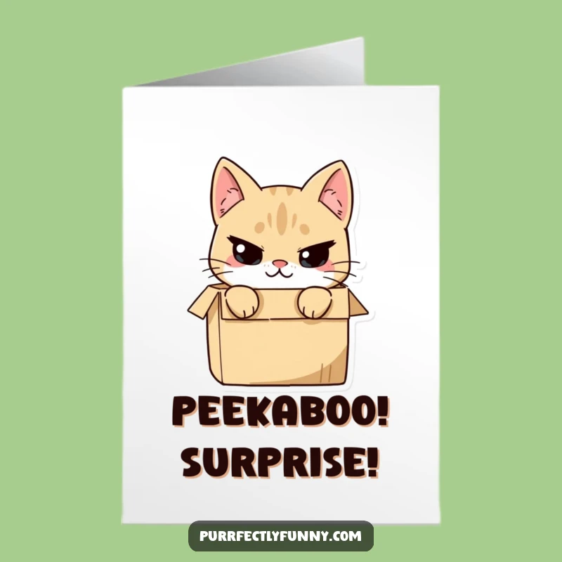 Mischievous Cat Box Birthday Card - Funny Free Printable Downloadable Gift!